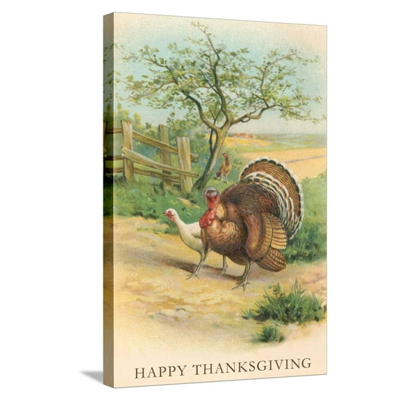 Art.com Tom and Hen Turkeys Stretched Canvas Print Wall Art, 16" x 24"