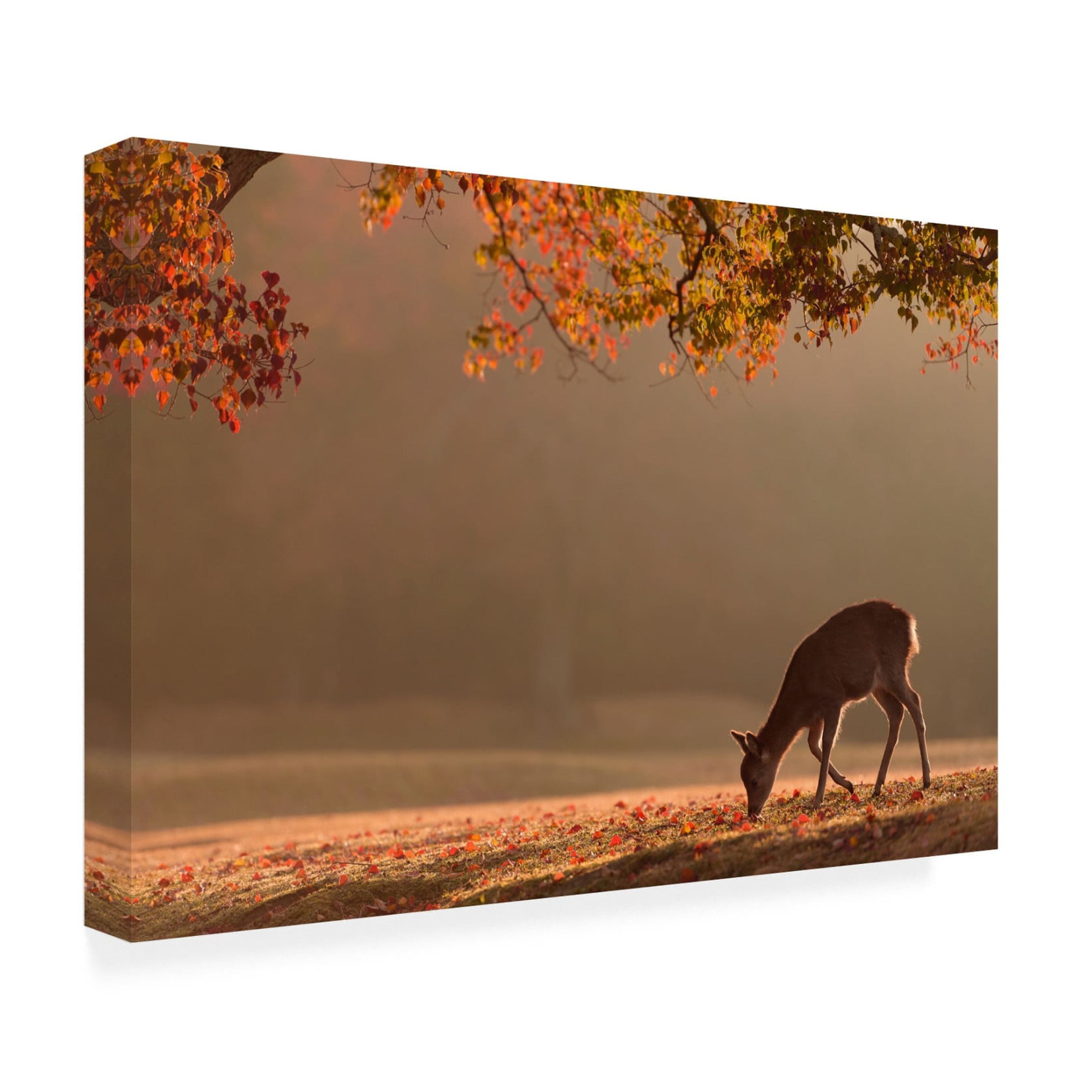 Canvas Wall Art - Yoshinori Matsui 'First Autumn' Wall Art for Living Room, Bedroom, or Office Décor by Trademark Fine Art - 24 x 16 Inches