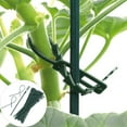thumbnail image 2 of PENGXIANG 50Pcs Reusable Plastic Landscape Fishbone Spur Plant Belt Band Ties Garden Tools, 2 of 12