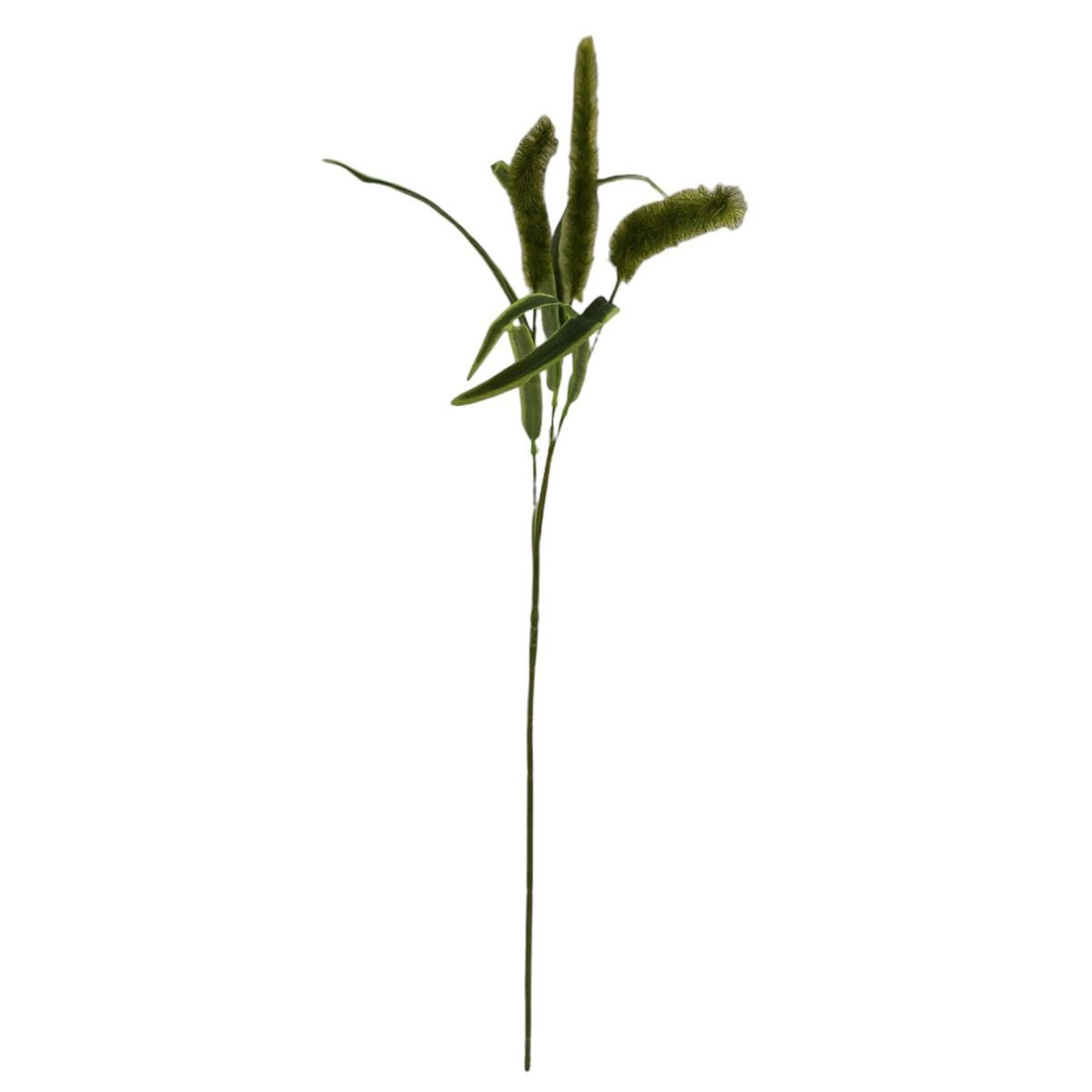Mainstays 36" Artificial Green Dogtail Stem, Set of 12, Indoor Use