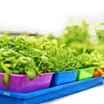 thumbnail image 4 of Bootstrap Farmer 5x5 Seed Tray Green - 40 Pack - Extra Strength 5 x 5 Inserts Grow Microgreens, Wheatgrass Seeds, Fodder 1020 System 801 Trays, 4 of 5