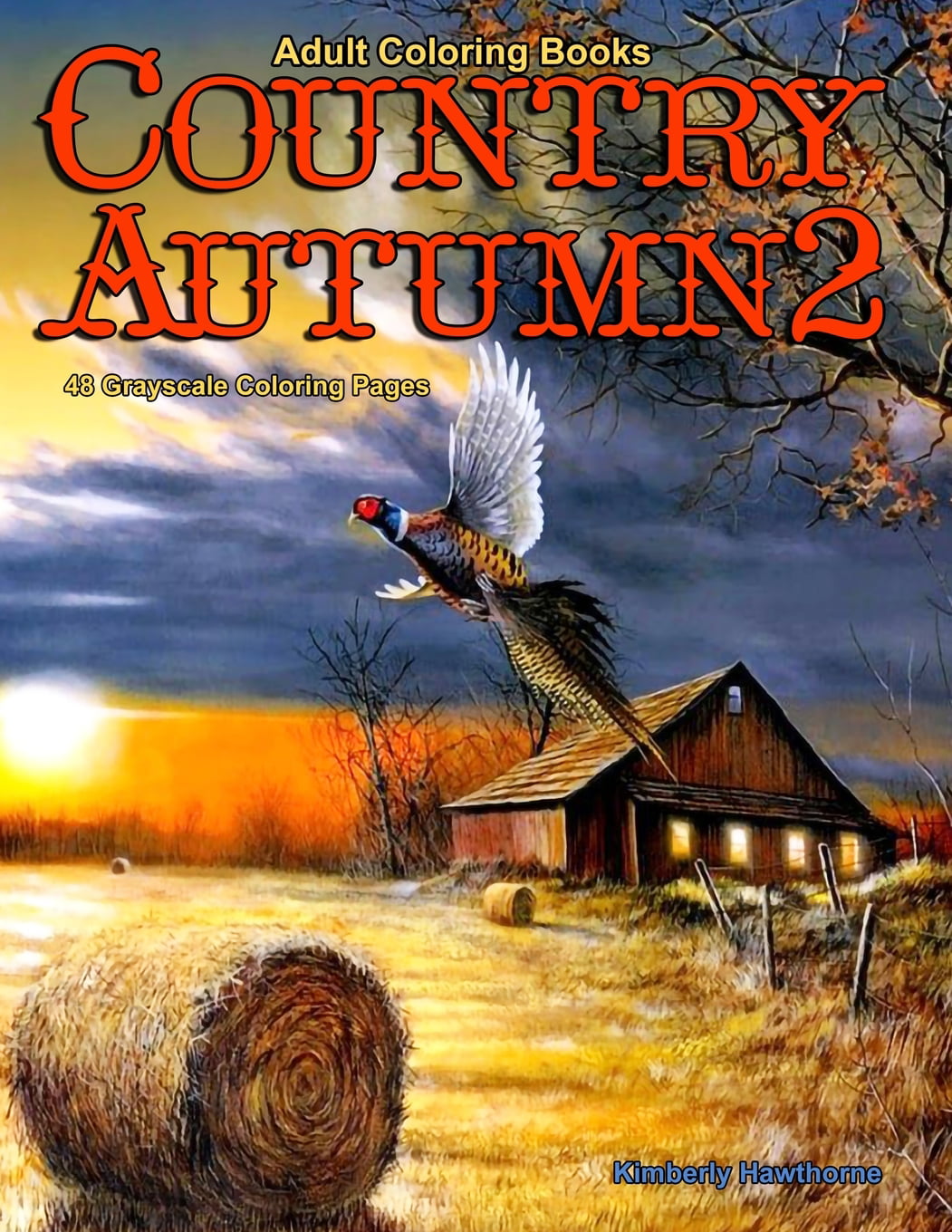 Life Escapes Country Autumn: Adult Coloring Books Country Autumn 2: 48