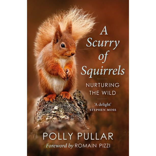 Scurry of Squirrels : Nurturing (Paperback) - Walmart.com