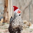 thumbnail image 2 of OULII 6 Ensembles Tenues de Vacances pour Chien Chapeau en Peluche Rouge avec Pompon pour Animaux, 2 of 8