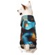thumbnail image 1 of Fotbe Adorable Blue Baby Dragon Sudadera con Estampado para Perros Pequeños – Suéter con Capucha para Mascotas, Tela Suave de Forro Polar con Bolsillo-Medium, 1 of 7