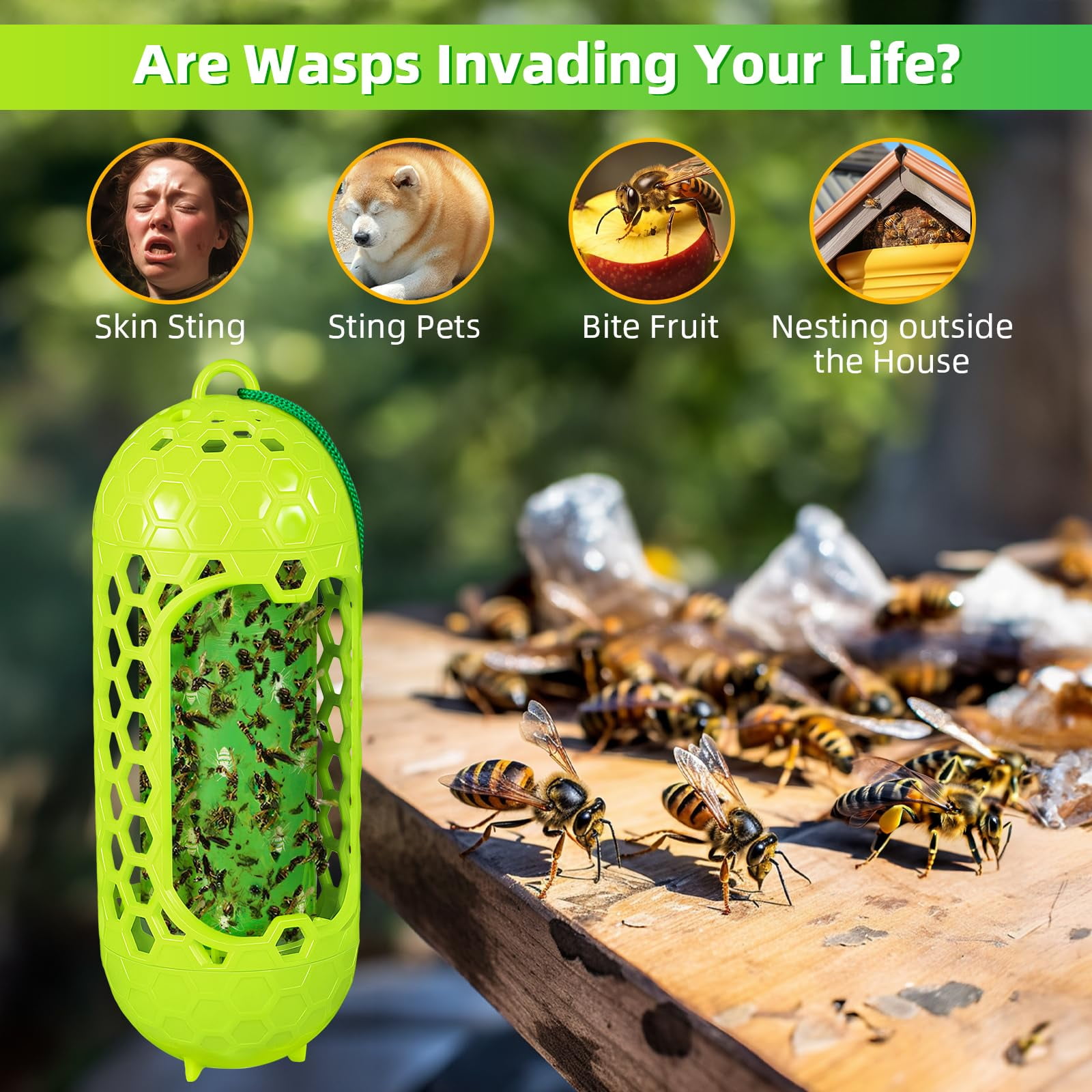 2 Pack Upgraded Outdoor Hanging Wasp Trap, Bee Traps for Outdoor Yellow Jacket Bee Catcher Trap, 4 PCS Refillable Sticky Papers, Fly Bug Insect Deterrent Killer
