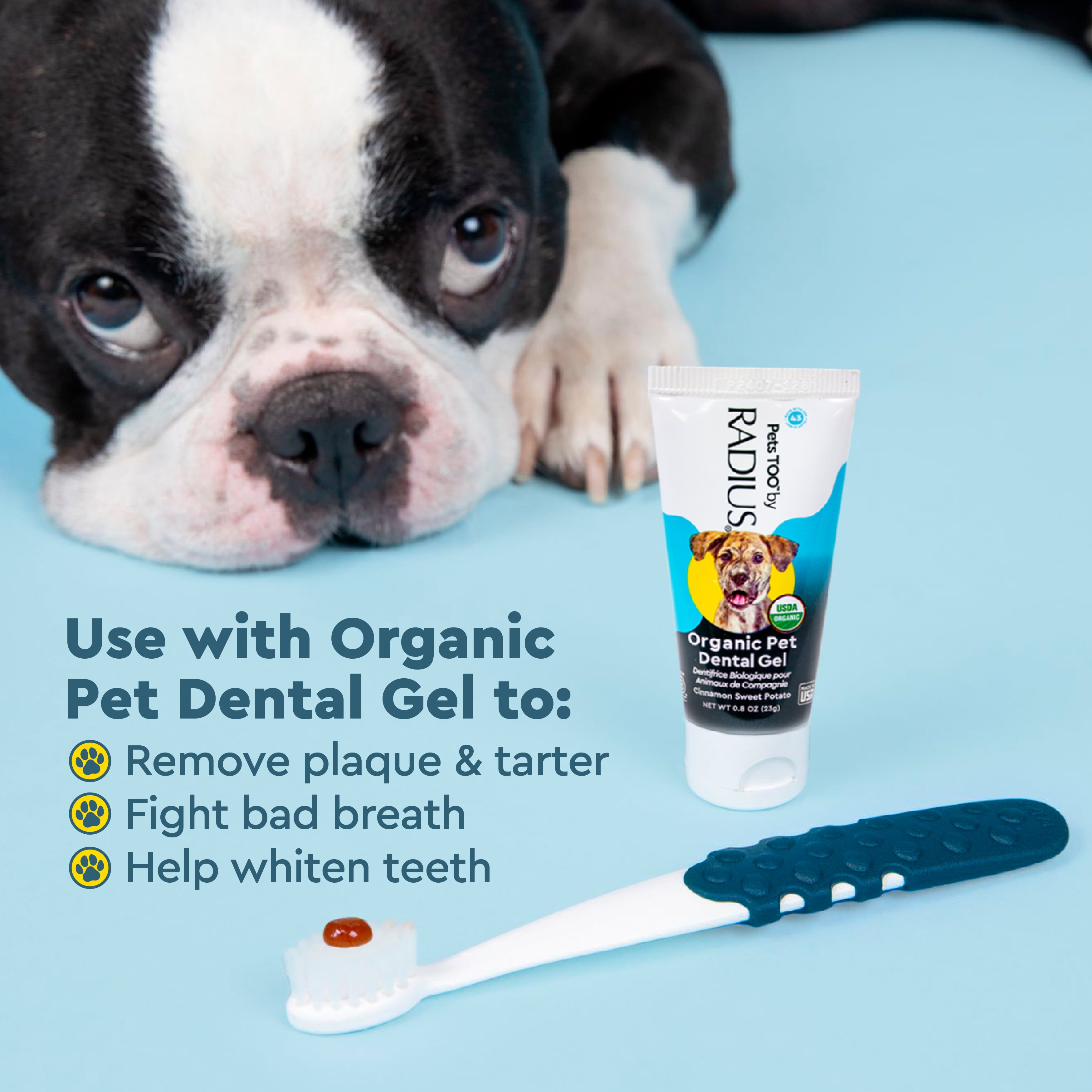 (4 pack) RADIUS Soft Bristle Organic Pet Toothbrush for Dogs and Cats
