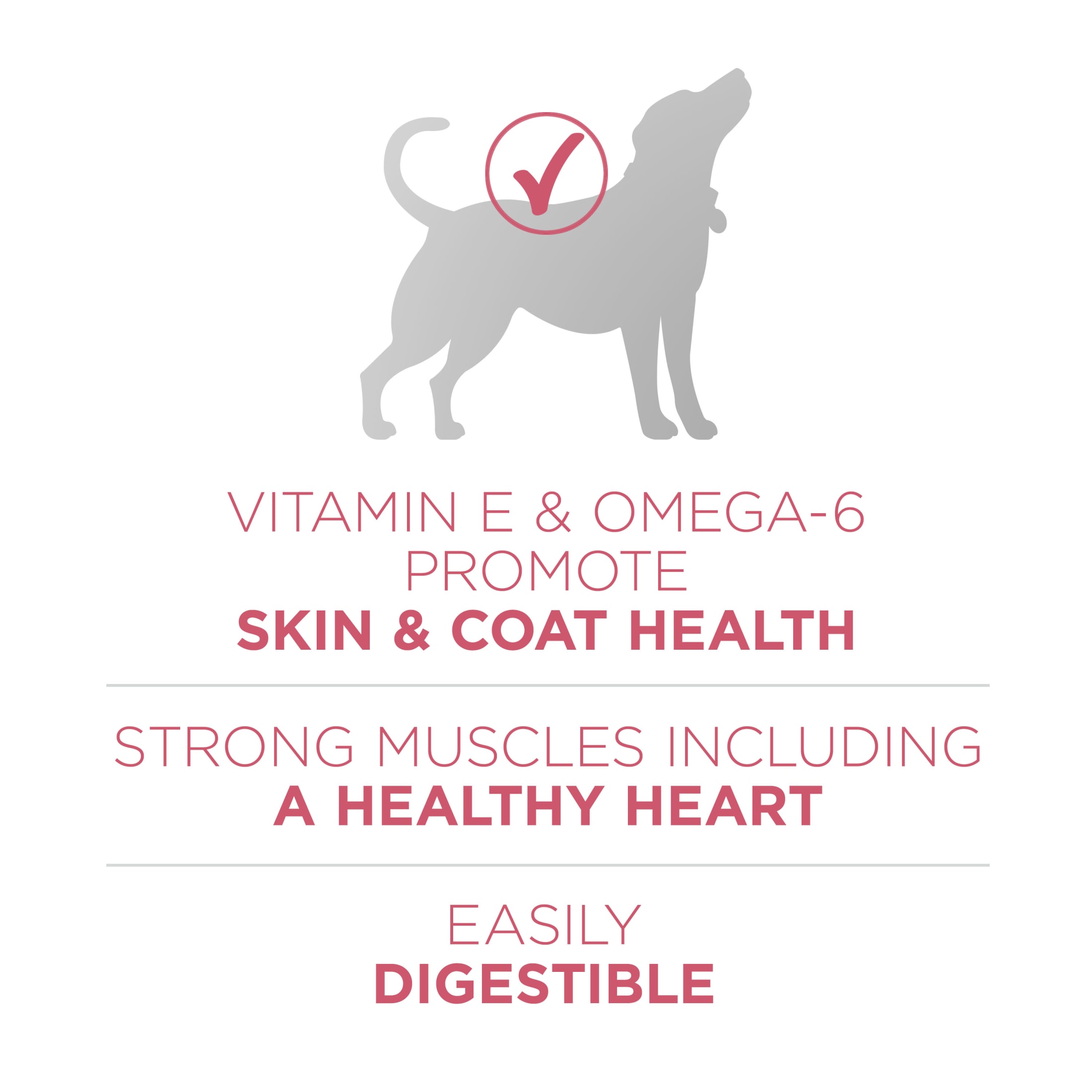 Purina ONE Plus Skin & Health Salmon Dry Dog Food, 16.5 lb photo 5