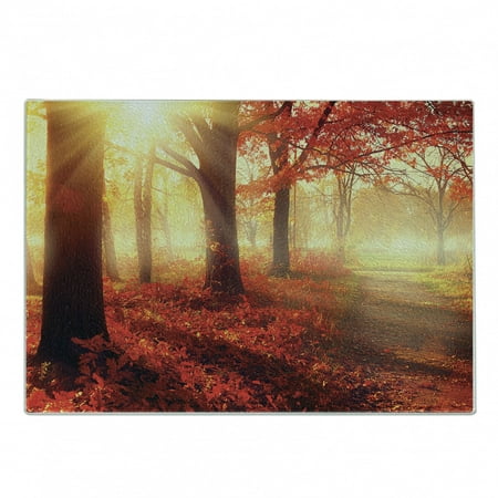 

Woodland Cutting Board Sun Beams Through Misty Old Forest in Fall Season Morning View Dreamy Picture Decorative Tempered Glass Cutting and Serving Board Small Size Yellow Red by Ambesonne