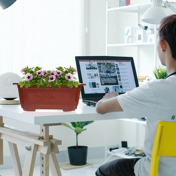 Raindrops 4 Pcs Window Planter Outdoor Planters Plants Pots Terracotta