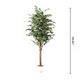 thumbnail image 2 of Ficus altissima, 59.8"H, 2 of 4