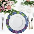 thumbnail image 4 of Ryvnso Blueberries Berries Round Plate Mats Dining Table Placemat Set of 4 for Holiday Decoration, 4 of 7