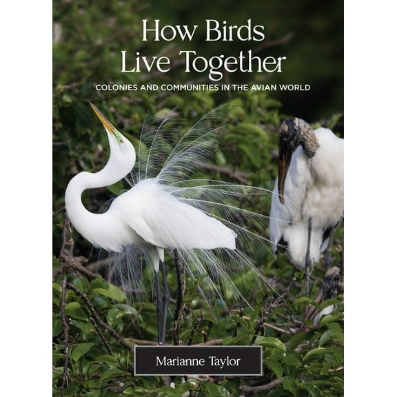 How Birds Live Together: Colonies and Communities in the Avian World, (Hardcover)