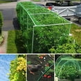 thumbnail image 3 of PENGXIANG Garden Netting Anti Bird Protection Net 2M x 8M for Plants Fruit Trees, 3 of 9