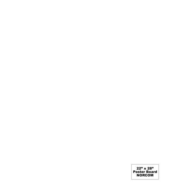 Norcom 100 79870-100 22 x 28 Po Affiche Board&44; Blanc - Pack