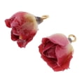 thumbnail image 4 of jifeng protoyszoom 2 Pcs Breloques Fleurs Réelles en Résine Pendentif Époxy pour, 4 of 9