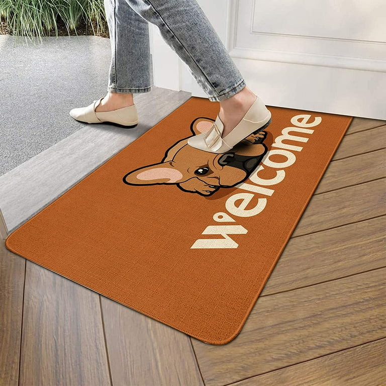 DSV Door Mat Outdoor for Home Entrance - 30 inchx 17.5 inch Black Non-Slip Welcome Mats Outdoor Indoor for Entryway, Low Profile Floor Front Doormat