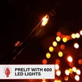 thumbnail image 4 of Haunted Hill Farm 12 ft Prelit Spider Web with 3 Multicolor Light Functions, Halloween Decor, HHHELED144-WEB1, 4 of 12