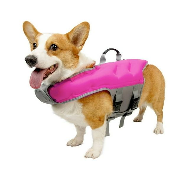 PENGXIANG Gilet de Sauvetage pour Chien Aventure Gilet de Sécurité pour Chien Gilet de Sauvetage Réfléchissant à Rayures Gilet de Flottaison pour Chiot