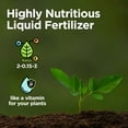 thumbnail image 6 of FishPoop Plant Fertilizer Concentrated Liquid Fish Poop Indoor Plant Food 4 FL OZ, 6 of 8