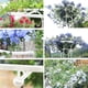 thumbnail image 3 of 2023 New Tall Garden Trellis for Climbing Plants - Unique Design, Sturdy Metal Construction 26s, 3 of 5