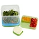 Kit de Salade LunchBlox en Caoutchouc, Vert – image 4 sur 4