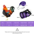 thumbnail image 3 of Visland 1 Set Adjustable Chicken Harness and Leash for Hen Roosters Comfortable Hen Pet Vest with Matching Belt Breathable Chicken Training Harness for Chicken, Duck or Goose, 3 of 7