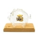 thumbnail image 1 of Alcancía de TV coreana, olla para dinero, vidrio de borosilicato alto, linda olla para ahorrar cerdos, regalo para niños, adornos para el hogar, 1 of 10