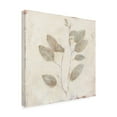 thumbnail image 2 of Julia Purinton 'Plantlife II' Canvas Art, 2 of 4