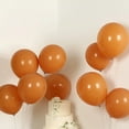 thumbnail image 6 of BalsaCircle 50 Caramel 12 in Round Matte Pastel Latex Biodegradable Balloons Wedding Reception Events Birthday Party Decorations Supplies, 6 of 8