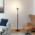 thumbnail image 4 of Evelyn&Zoe Frieda 66" Tall Floor Lamp with Glass shade in Blackened Bronze/Seeded, 4 of 11