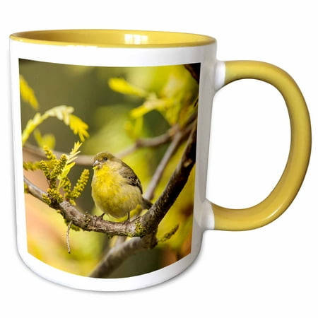 3dRose Yellow Finch with young seeds of a Honey Locust Tree. - Two Tone Yellow Mug,