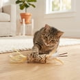 thumbnail image 4 of Catit Natural Feathers Cat Toy 2pk, 4 of 5