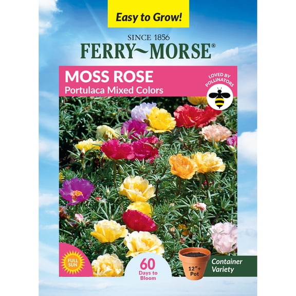 Ferry-Morse Moss Rose Portulaca Annual Flower Seeds 120 mg - Full Sun - Mixed Colors