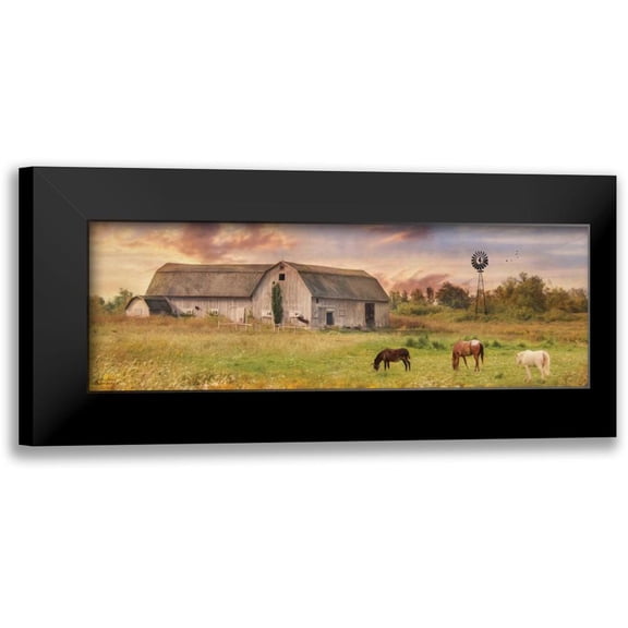 Deiter, Lori 14x7 Black Modern Framed Museum Art Print Titled - Clayton Barnyard