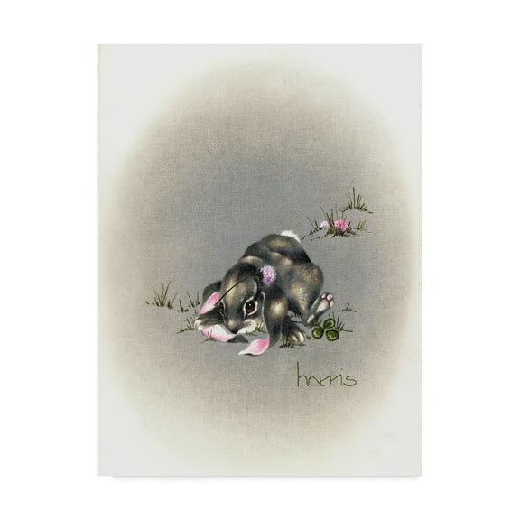 Trademark Fine Art 'Ear We Go Again' Canvas Art by Peggy Harris