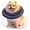 PurplishBlue, variant on BESTSKY Dog Cone,Multifunctional Recovery Protection Dog Cone Collar,Soft Edge Care Waterproof Material Soft Dog Cone,21Cm