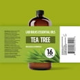 thumbnail image 2 of Lab Bulks Essential Oil Tea Tree Essential Oil 16 oz Big Bottle for Diffuser, Face, Hair, Aromatherapy, and Tea Tree Spray (473 ml), 2 of 9