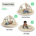 thumbnail image 3 of Ingenuity Every Season Plush Lambswool Baby Play Gym and Play Mat, 0+ Months - Natural, 3 of 16