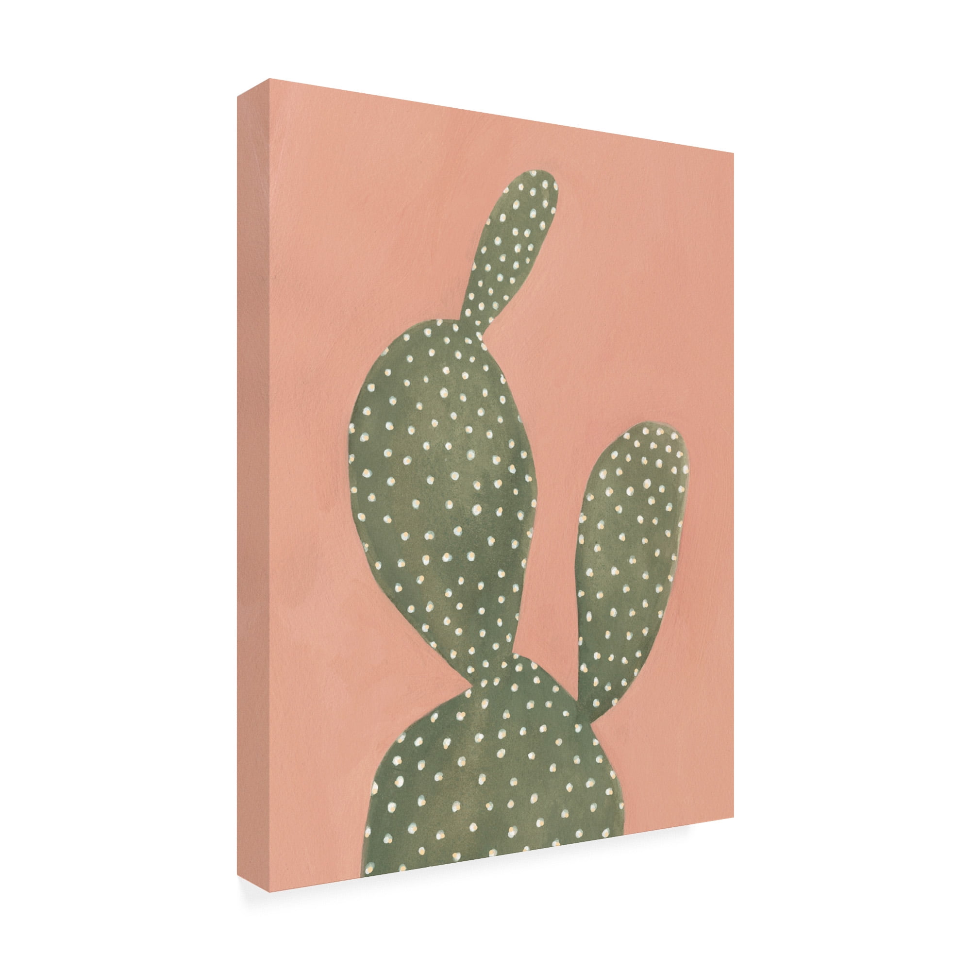 Trademark Fine Art 'Coral Cacti I' Canvas Art by Emma Scarvey