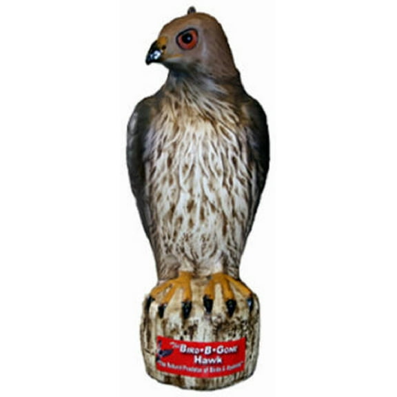 Bird B Gone MMRTH1 Heavy Duty Plastic Hawk Decoy - Quantity of 3