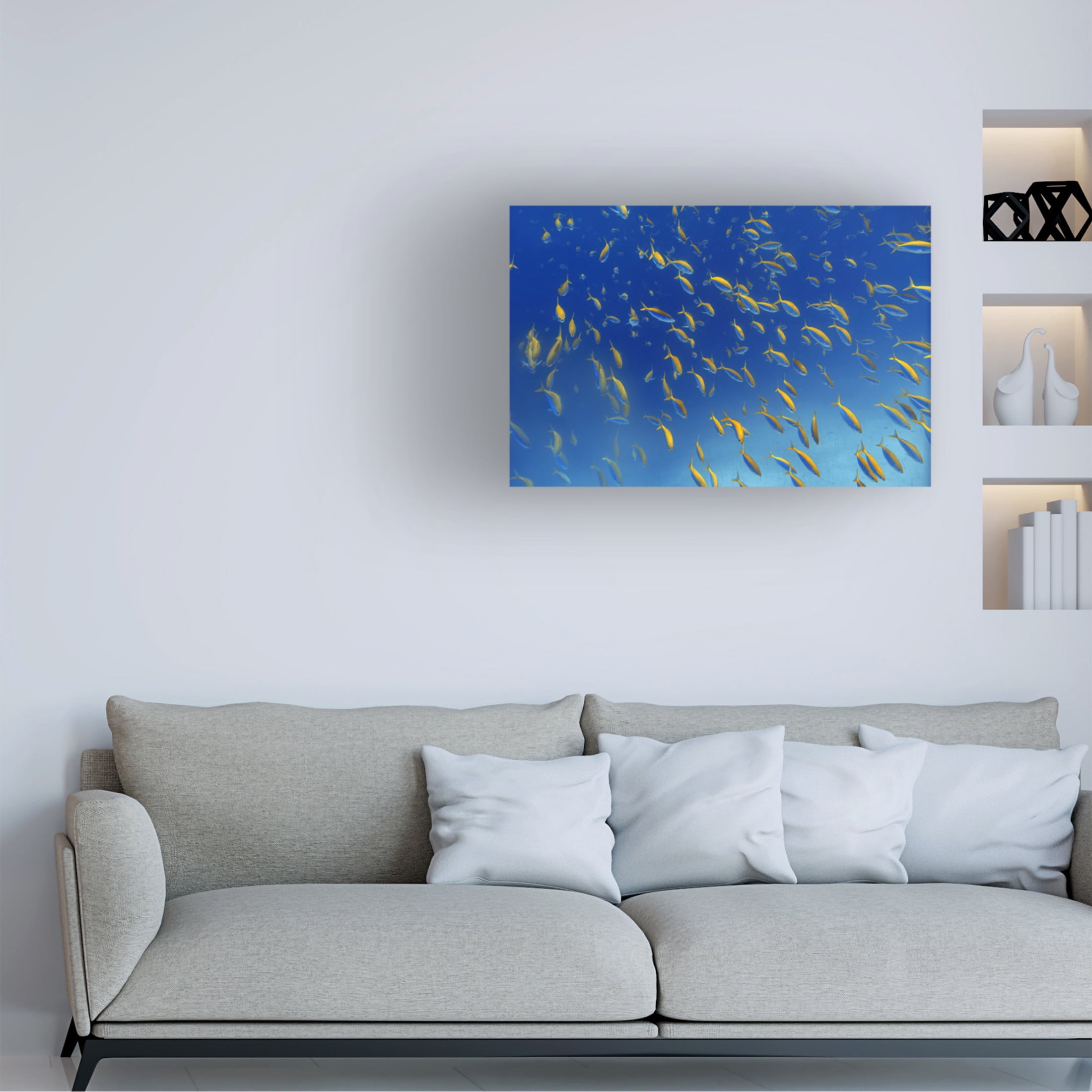 Trademark Fine Art Alessandro Catta  FiSh FrEnZy Canvas Wall Art