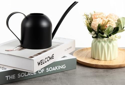 Small Watering Can for Indoor Plants Stainless Steel Watering Can with Long Spout 15oz/450ml, (Black)