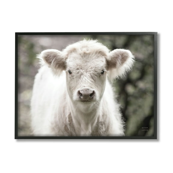 Stupell Industries White Cow Calf Portrait Animals & Insects Photography Black Framed Art Print Wall Art, 14 x 11