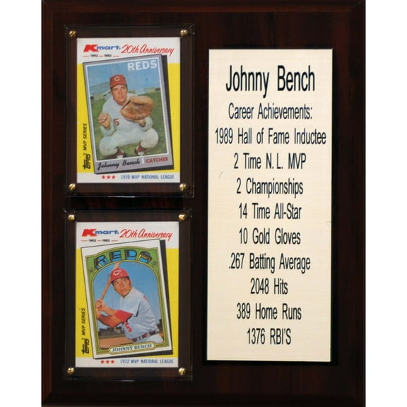 Johnny Bench Cincinnati Reds 8'' x 10'' Plaque