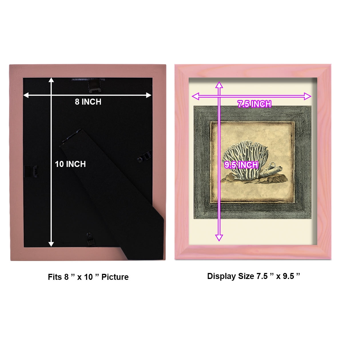 Mini Exotic Coral IX (U) - Framed Print w/glass - Sunset Pink