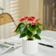 thumbnail image 4 of Maceta de Plástico Estilo Moderno para Decoración Del Hogar | Blanca 8,5 X 8,5 X 8 Cm | Ligera 50 G | Regalo Ideal para Diversas Ocasiones, 4 of 6
