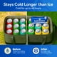 thumbnail image 3 of Paquetes de Hielo Reutilizables Below Zero para Neveras 48h (Paquete de 5), 3 of 7