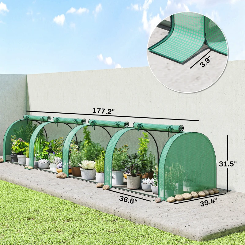 Mini Greenhouse