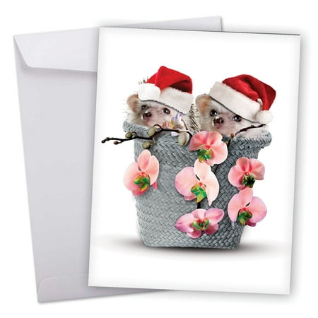 J6541AXSG Extra Large Merry Christmas Greeting Card: 'Holidays from the Hedge' Featuring Sweet and Cuddly Hedgehogs Wearing Santa's Hats Perched in an Unexpected Place Greeting Card with Envelope by